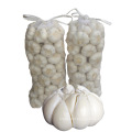 Chinese Pure white garlic Bulk Wholesale Price